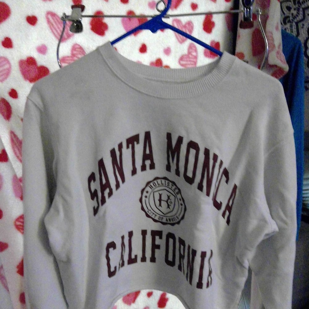 Hollister crop swaetshirt